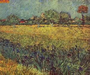 Blick auf Arles mit Schwertlilien nach van Gogh
